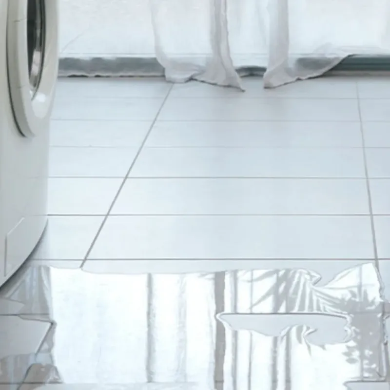 Appliance Leak Cleanup in Juneau, AK